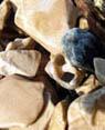 Fotogalria